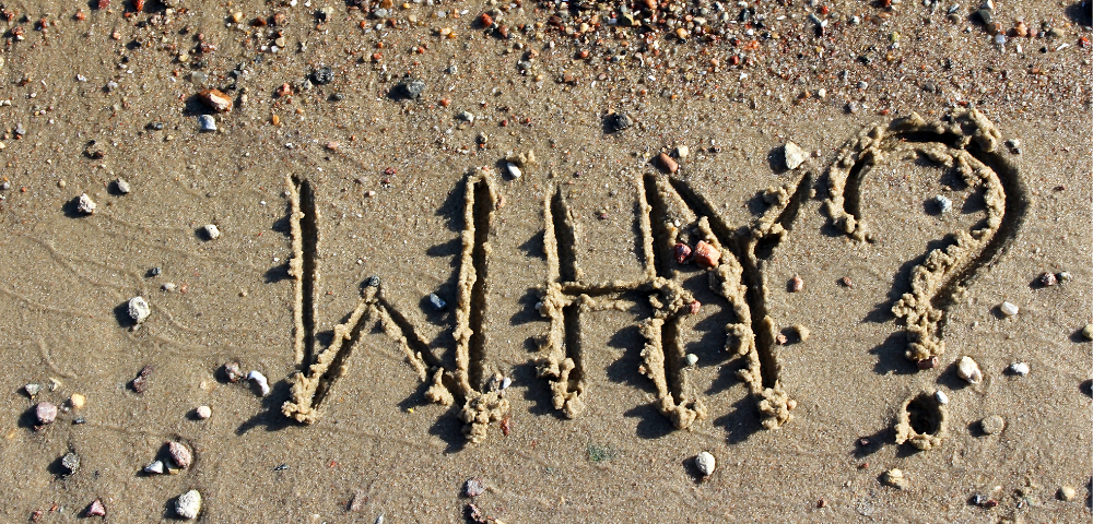 Get To The Why - Shellie Bowdoin | The FABulous Journey